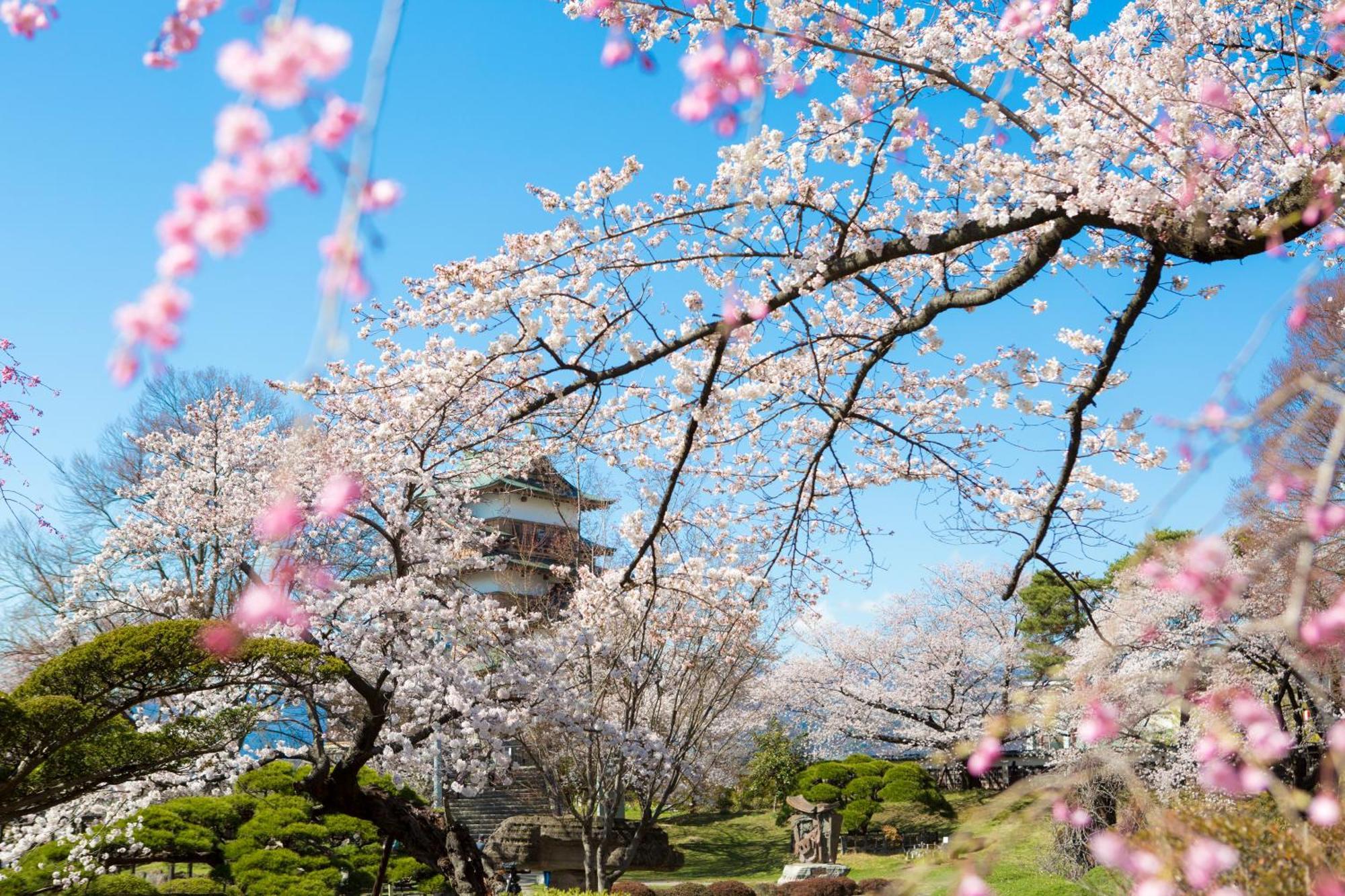旅館 神秘なる諏訪湖に心癒される宿 上諏訪温泉 しんゆ 4*